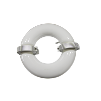 200w circular Magnetic Induction Lamp and ballast